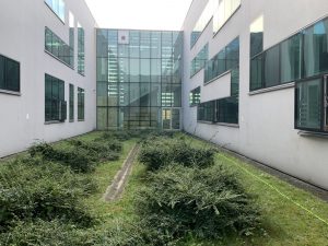 Maxclean Wysokościowe usługi mycia metodą odwróconej osmozy